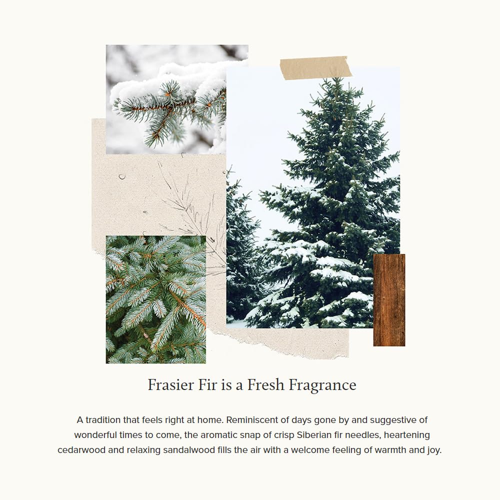 Thymes Frasier Fir Reed Diffuser Oil Refill – Home Fragrance Oil for Diffuser – Holiday Reed Diffuser Refill – Just-Cut Forest Oil Scents for Diffuser – Aromatherapy Diffuser Oils Scents (7.75 fl oz)