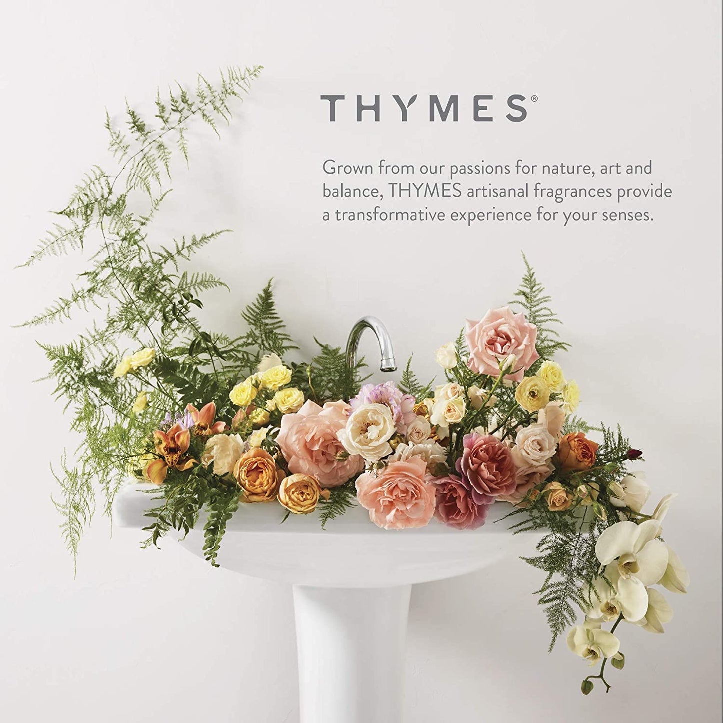 Thymes Candle Tin with Gold Lid - Gold Candles - Scented Candles for Women & Men - Luxury Home Fragrance - Notes of Fir Needles, Cedarwood, Pine and Relaxing Sandalwood (Frasier Fir, 6.5 oz)