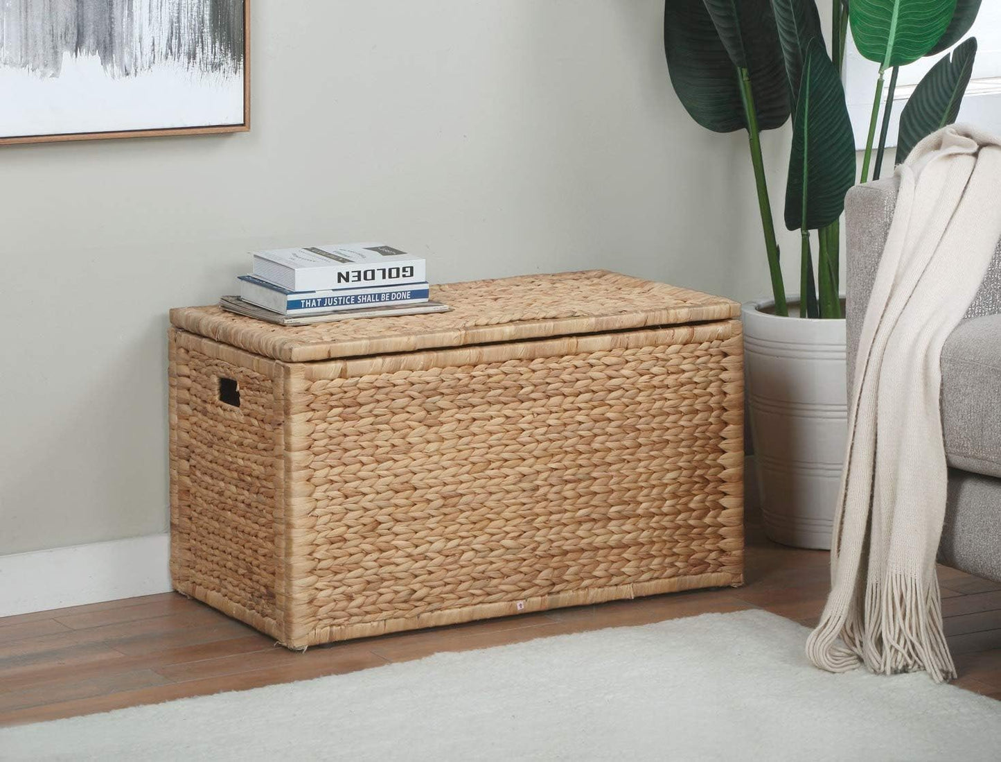 eHemco Heavy-duty Water Hyacinth Wicker Storage Trunk with Metal Frame, 30 by 17.5 by 17.5 Inches, Natural